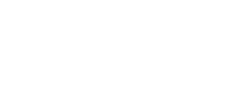 The Headshot Guy